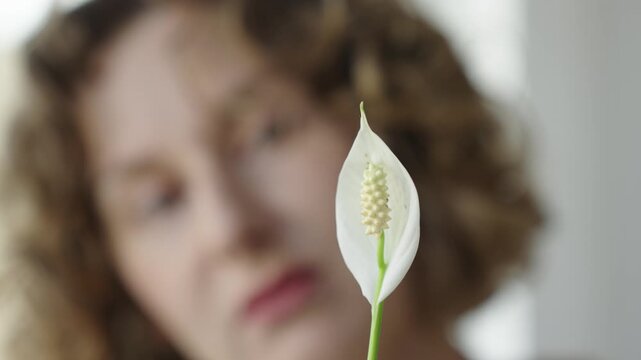 Medium close up of a woman inspecting and gently touching the leaf and bloom of a peace lily Natural window light sculpts hair and foliage textures The clip shows careful plant care a tactile moment a