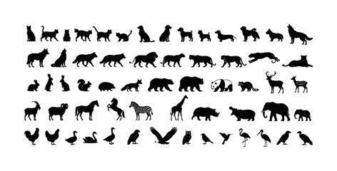 Fototapeta premium Diverse collection of animal silhouettes showcasing mammals, birds, and domestic pets