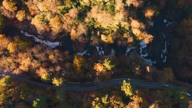Scenic mountain road winds through dense autumn forest with colorful foliage and nearby waterfall. Rugged mountains create breathtaking scenery for scenic driving.