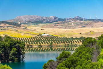 Malowniczy krajobraz Andaluzji z gajem oliwnym, jeziorem i farmą wiatrową na wzgórzach, Malaga, Hiszpania © Grzegorz Polak
