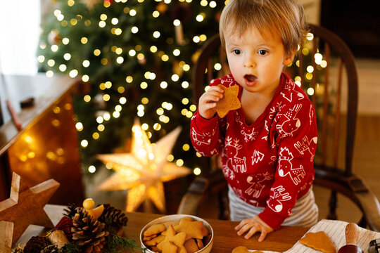 Surprised toddler boy eating star shaped gingerbread cookie at Christmas, concept of holiday wonders, winter treats, festive baking and innocent childhood emotions