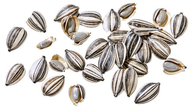 Isolated sunflower seeds with husks and kernels, some cracked open, healthy organic snack food
