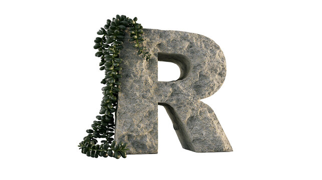Isolated rough stone capital letter R adorned with beautiful green succulent plant vines