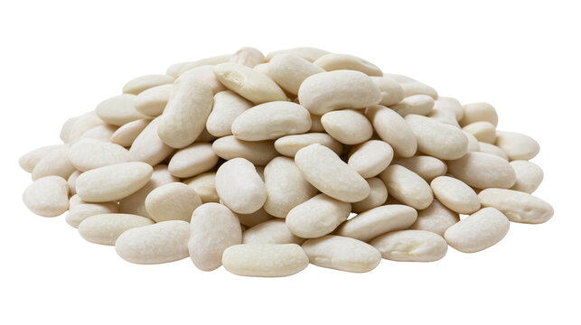 Isolated pile of dried white beans, a nutritious and essential ingredient for healthy cooking.