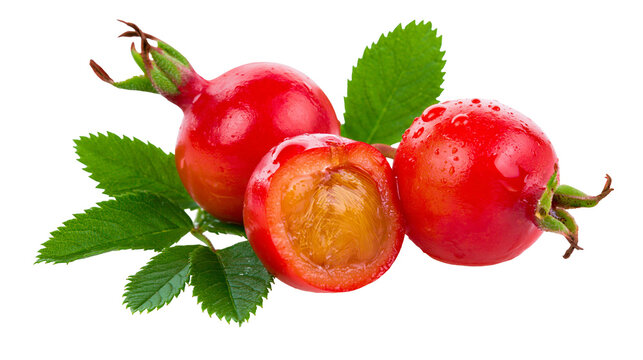 Isolated fresh vibrant red rosehips with green leaves, one cut exposing seeds and pulp.