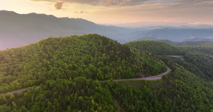 Winding road at Laurel Knob Overlook on Blue Ridge Parkway in North Carolina Appalachian mountains. Forest with green canopies in summertime evening. Driving through wild woods nature in summer