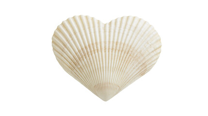 Isolated delicate heart-shaped seashell, beautiful natural ocean symbol of love and summer © Francisco