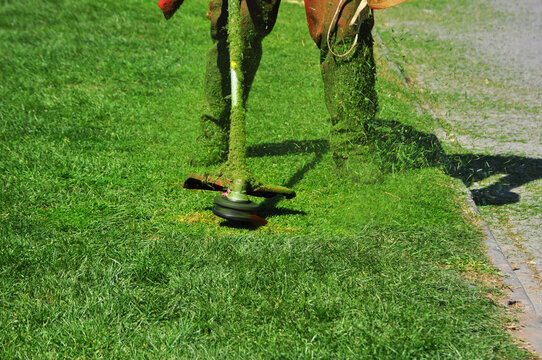 Gardener mowing the park lawn
