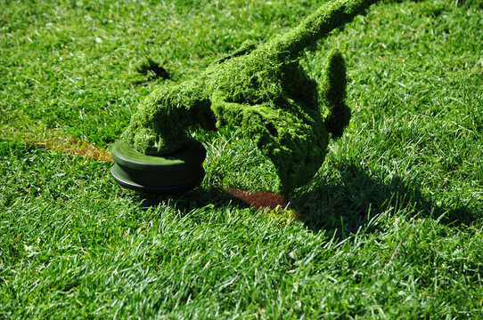 Lawnmower mowing the park's grass
