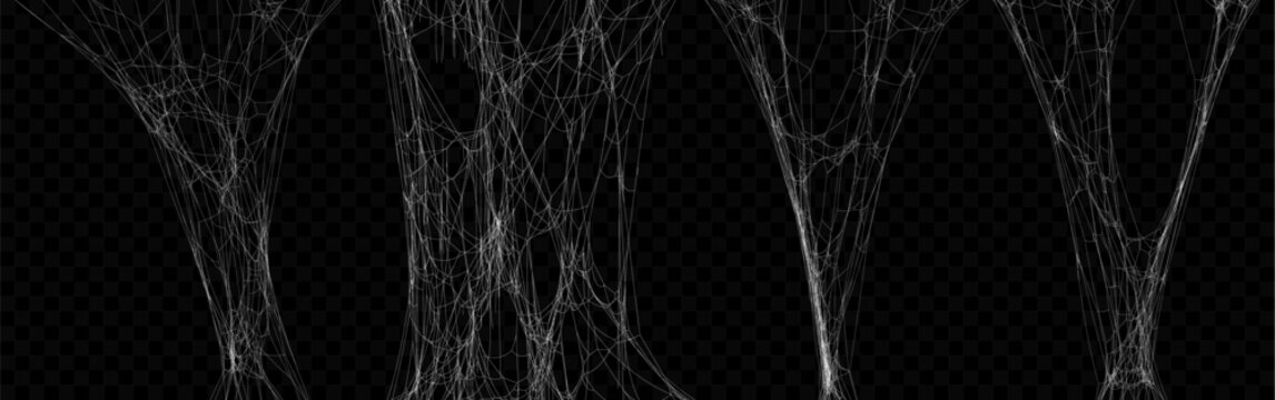 Set of Realistic Stretched Vector Tangled White Spider Web Texture. Hanging Cobweb for Halloween design.