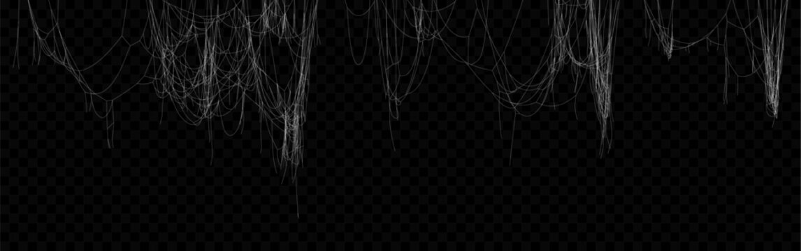 Set of Realistic Vector Hanging White Spider Web. Cobweb for Halloween Design.