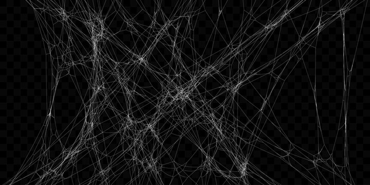 Realistic Vector Tangled White Spider Web Texture. Hanging Cobweb for Halloween design.