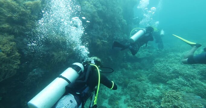 A group of divers diving towards a sunken ship in the Philippine Sea. Divers descend together around a guide rope. Divers descend into a cloud of bubbles. Summer vacation shot