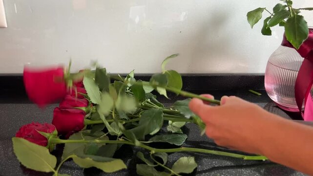 Female hands trim rose stems with pruning shears and place fresh roses into a glass vase, capturing flower arranging with authentic cutting sounds. High quality FullHD footage