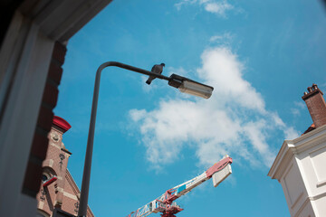 A pigeon rests on the arm of a street light with a tower crane and gabled rooftops behind, urban wildlife amid city building work. © Victor