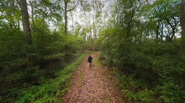 Lone figure strolls down a leaf-strewn forest path