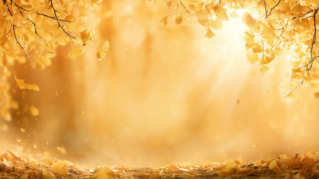 Golden Gingko tree branches in autumn, fallen yellow leaves on the ground in the forest,  autumnal background sunbeams and copy space