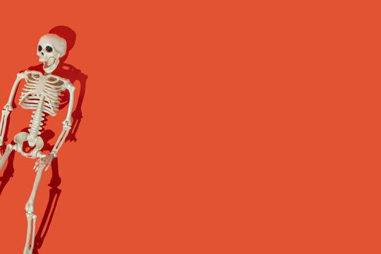 Skeleton lying down on a bright orange background. Creative Halloween holiday concept.	