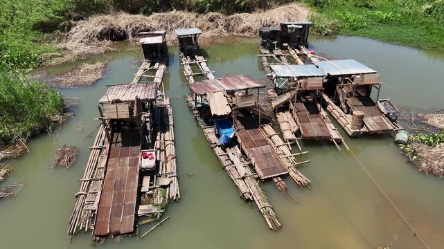 Floating bamboo houses for gold mining in the shallow green river surrounded by wild vegetation