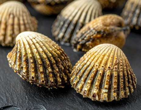 Extreme close up of fresh percebes goose barnacles showing their unique texture on a dark slate background.