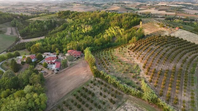 Aerial drone view of a hillside farmstead with hazelnut groves and vineyards in Monferrato, Piedmont, Italy