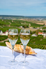 Champagne sparkling wine  tasting in glasses with view on Grand Cru Blanc de Blancs Chardonnay...