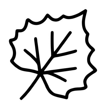 Crimson Poplar Leaf Hand Traced Vector Icon Illustration Black Line Art Botanical Plant Design Nature Inspired Graphic Element for Web and Print Design Projects - detailed commercial stock imagery