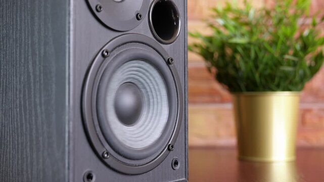 Loud bass music playing on a vibrating audio speaker woofer. Close up view of a speaker cone pulsating from loud music playing through the sound system, creating strong vibrations and deep bass tones