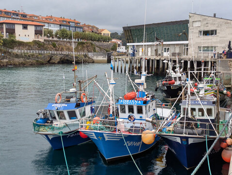 Blue and white fishing trawlers moored side by side in Llanes harbor, Asturias, with the fishermen's guild (Cofrad&iacute;a de Pescadores) building visible in the background. Llanes, Asturias, Spain