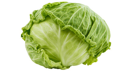 Fototapeta premium Isolated fresh green cabbage head with outer leaves, a healthy raw vegetable food ingredient