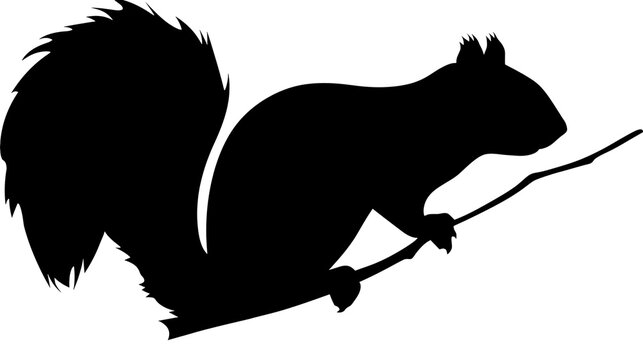 Isolated squirrel silhouette perched on a branch, above a black bar with white text S (380).