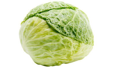 Fototapeta premium Isolated fresh green savoy cabbage head, healthy organic vegetable food ingredient for cooking
