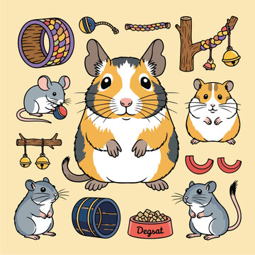 Cute degu pet animal collection with toys and accessories illustration.