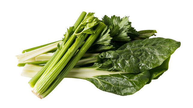 Isolated fresh celery stalks and healthy green leafy vegetables for cooking and diet