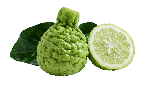 Isolated fresh whole Kaffir lime and sliced makrut citrus fruit with green leaves