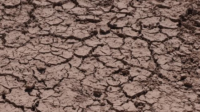 Slider shot features detailed cracked ground under harsh sunlight, highlighting severe drought in Portugal during a summer heatwave. Dry, textured earth fills the frame in sharp focus.