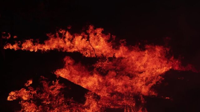 Intense wildfire blazes rip through dense Amazon rainforest, sending towering flames and heatwaves into the night. Fiery orange glow contrasts against the dark, chaotic landscape.