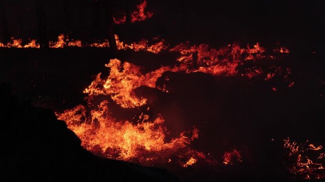 Dramatic wide shot of fierce wildfire flames tearing through dense Amazon jungle at night, casting intense orange glow.