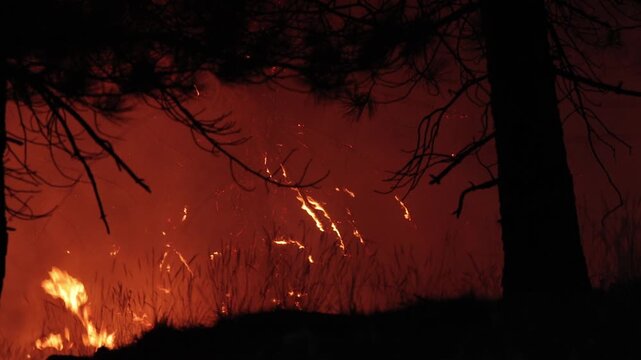Intense wildfire rages through a pine forest in Spain, flames and flying embers illuminate the night as smoke swirls in dry summer air, captured in a dramatic landscape shot.