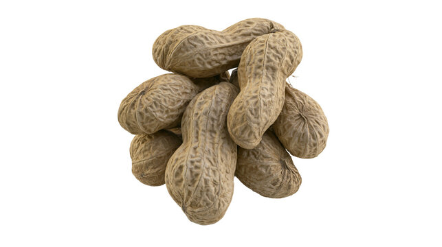 Isolated group of raw peanuts in shells, natural brown textured healthy snack food ingredient