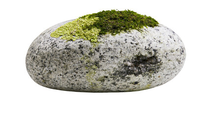 Isolated natural granite rock with green moss and vibrant lichen on its textured surface. © Diego