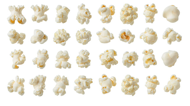Isolated delicious popcorn kernels showing various puffed shapes and textures, a delicious and crunchy snack