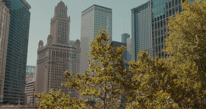 Downtown chicago skyscrapers and buildings view from millennium park
