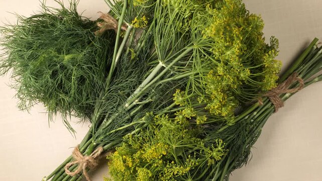 Fresh green dill bunches rotating slowly