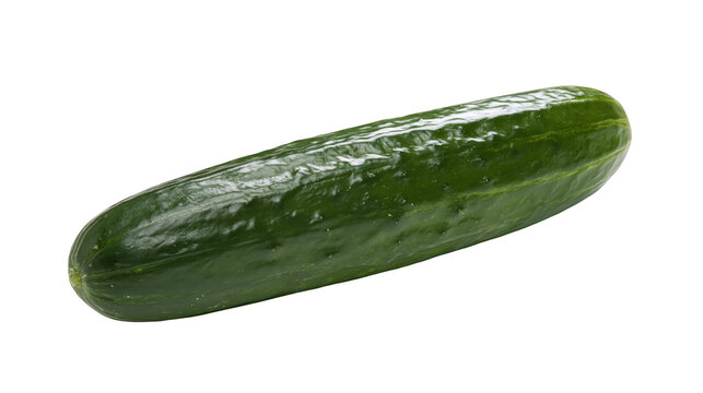 Isolated vibrant green fresh whole cucumber, perfect ingredient for healthy vegetarian diet