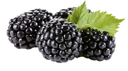 Isolated delicious fresh blackberries and vibrant green leaves, sweet and healthy summer fruit © Lucas