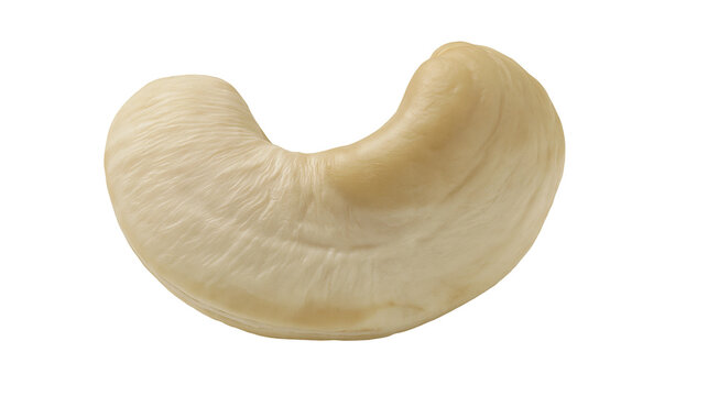 Isolated raw whole cashew nut, healthy and delicious ingredient for cooking and snacking
