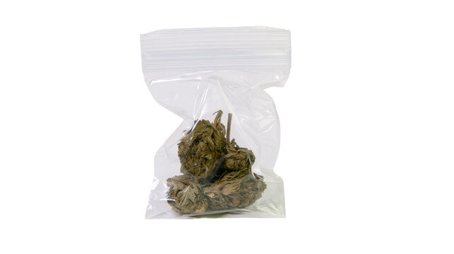 Isolated plastic baggie containing dried cannabis buds for recreational or medical use
