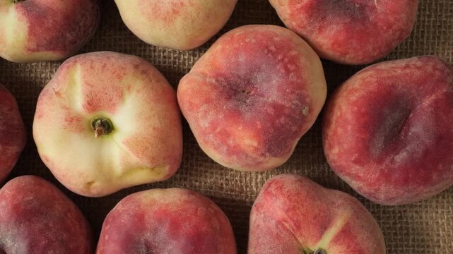 Ripe Saturn peaches slowly moving on jute