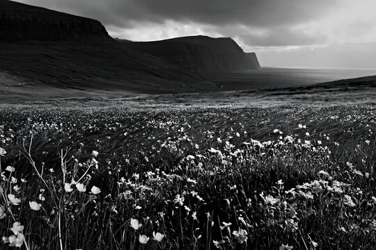 Meadow in rolling valley with cliffs by the ocean